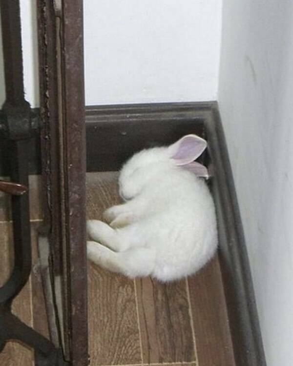 Heartwarming & Positive Posts To Lift Your Spirits Heartwarming & Positive Posts To Lift Your Spirits