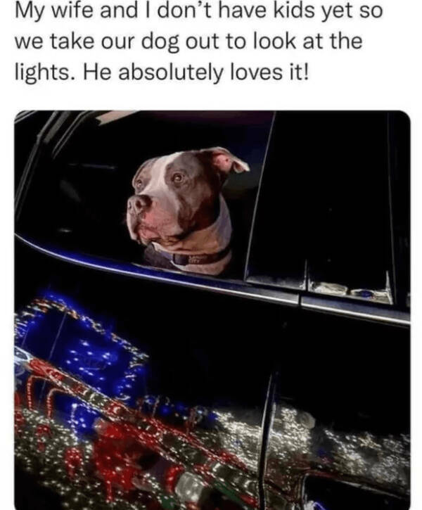 Heartwarming & Positive Posts To Lift Your Spirits Heartwarming & Positive Posts To Lift Your Spirits