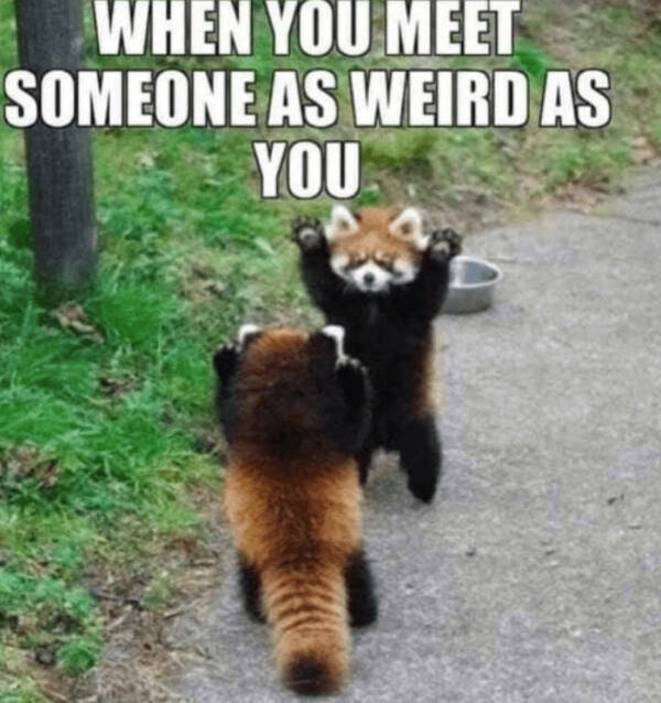 Heartwarming & Positive Posts To Lift Your Spirits Heartwarming & Positive Posts To Lift Your Spirits