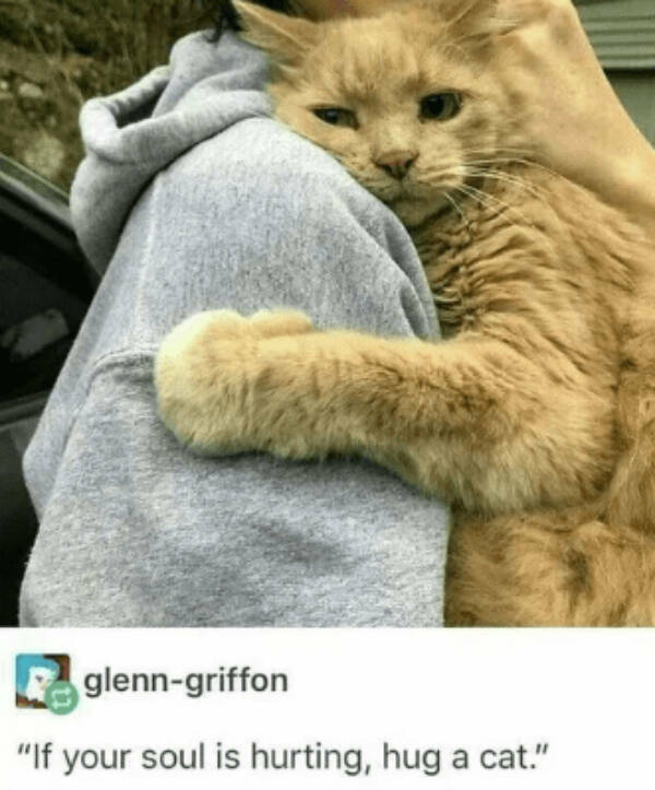 Heartwarming & Positive Posts To Lift Your Spirits Heartwarming & Positive Posts To Lift Your Spirits