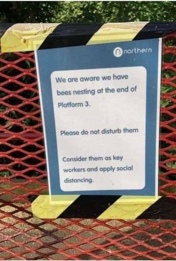 Heartwarming & Positive Posts To Lift Your Spirits Heartwarming & Positive Posts To Lift Your Spirits