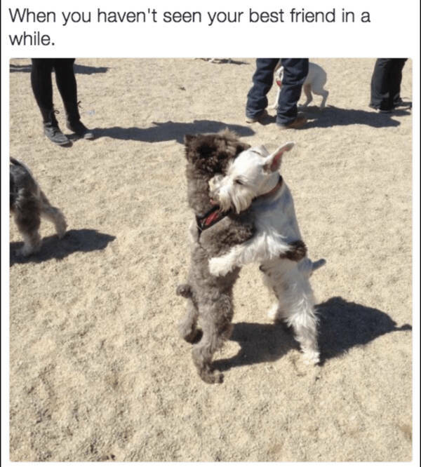 Heartwarming & Positive Posts To Lift Your Spirits Heartwarming & Positive Posts To Lift Your Spirits