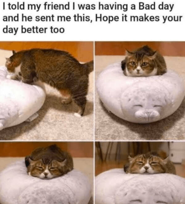 Heartwarming & Positive Posts To Lift Your Spirits Heartwarming & Positive Posts To Lift Your Spirits