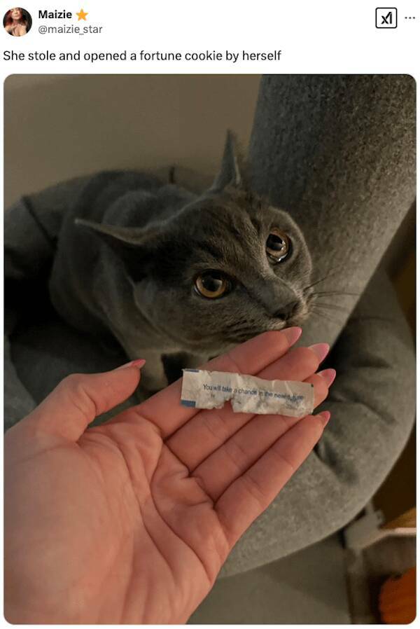 The Best Tweets Of The Week—Pure Comedy Gold