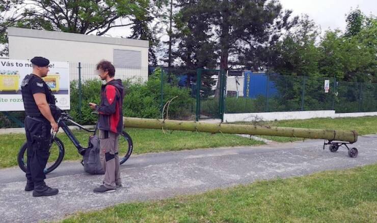 What The Hell Is Going On Here?