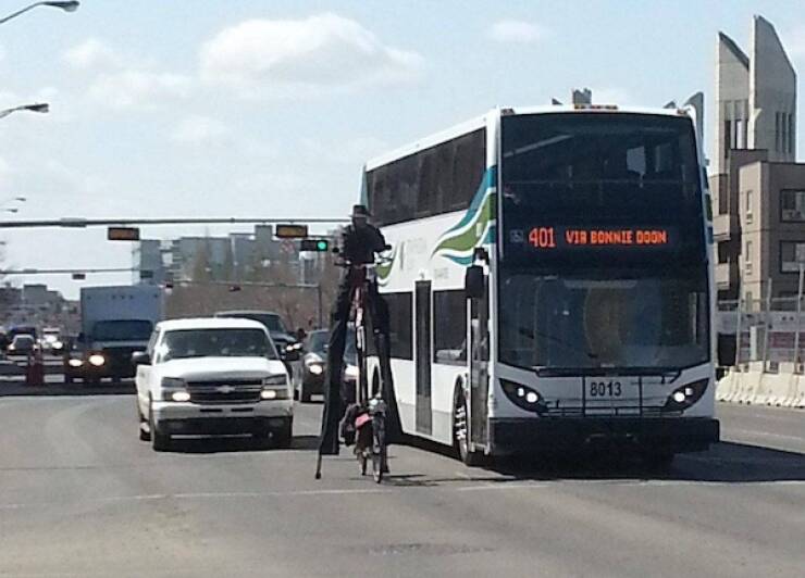 What The Hell Is Going On Here?