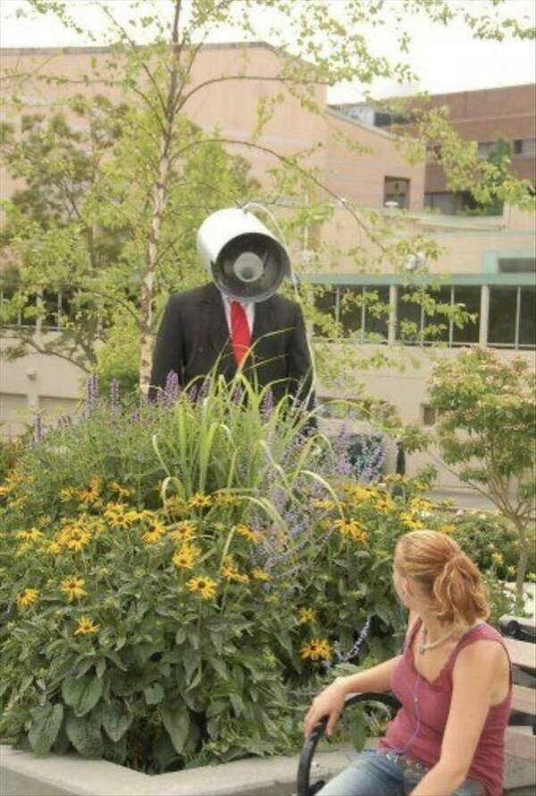 What The Hell Is Going On Here?