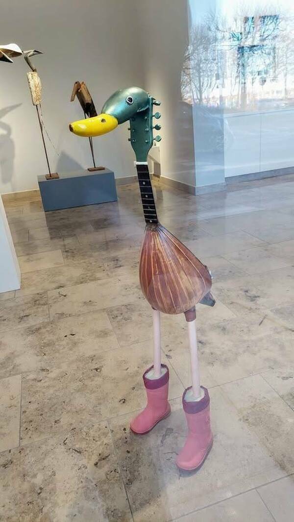 What The Hell Is Going On Here?