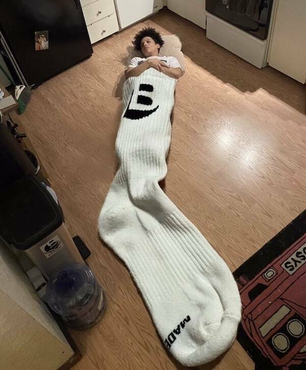 What The Hell Is Going On Here?