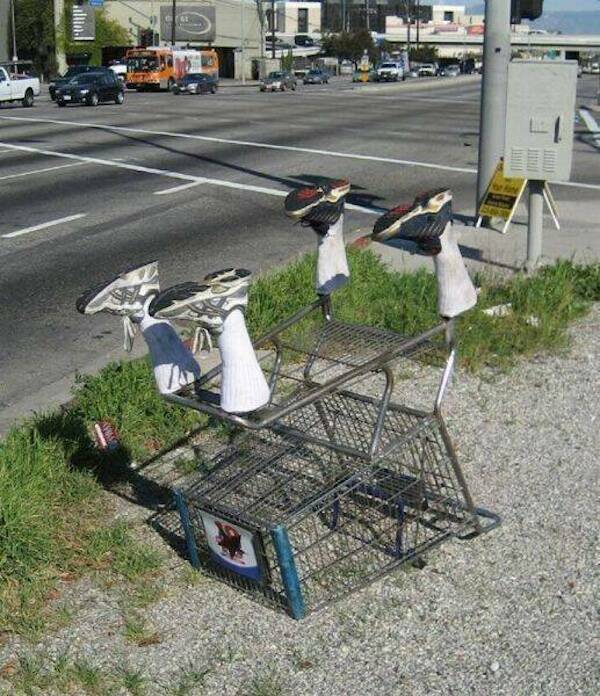 What The Hell Is Going On Here?