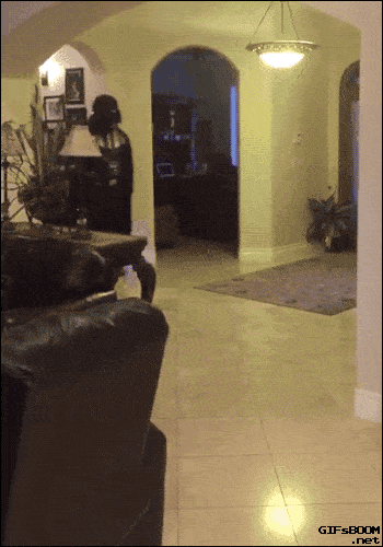 Daily Gifdump Daily Gifdump