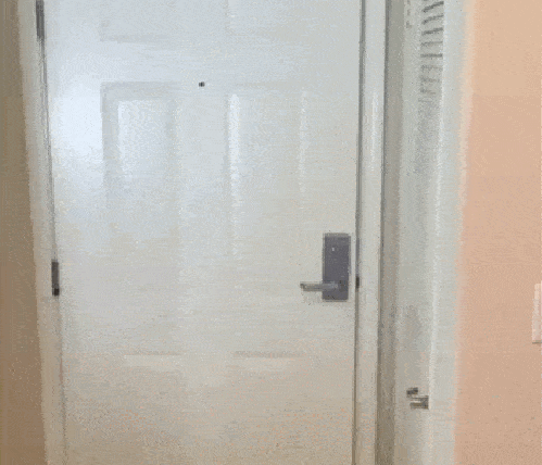 Daily Gifdump [WEEKEND EDITION]