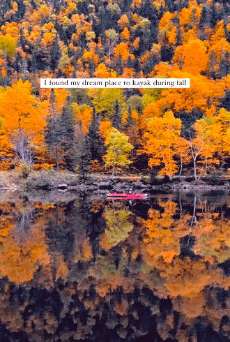 Daily Gifdump [WEEKEND EDITION]