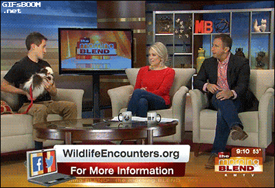 Daily Gifdump [WEEKEND EDITION]