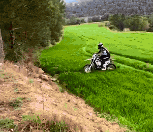 Daily Gifdump [WEEKEND EDITION]