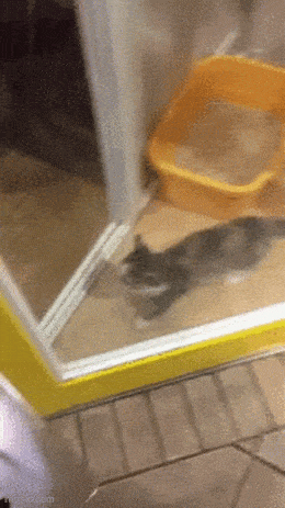 Daily Gifdump [WEEKEND EDITION]