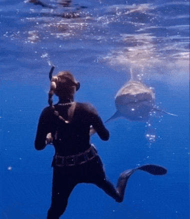 Daily Gifdump [WEEKEND EDITION]