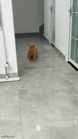 Daily Gifdump [WEEKEND EDITION]