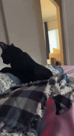 Daily Gifdump [WEEKEND EDITION]