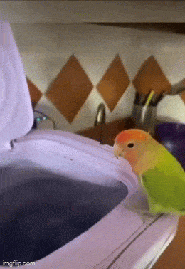 Daily Gifdump [WEEKEND EDITION]