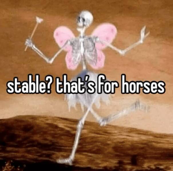 Funny Picdump Funny Picdump