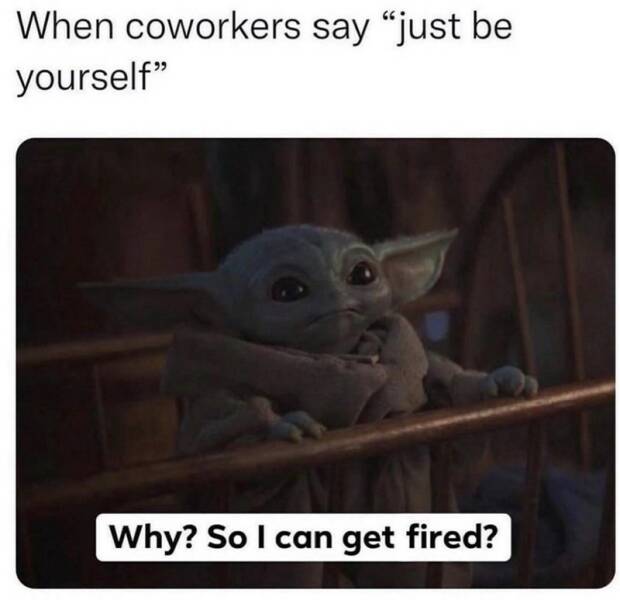 Funny Picdump Funny Picdump