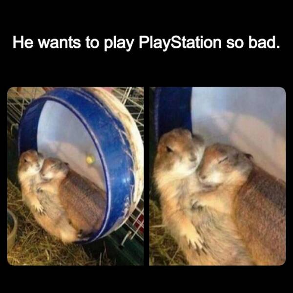 Funny Picdump Funny Picdump