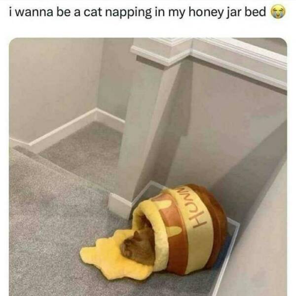 Funny Picdump Funny Picdump