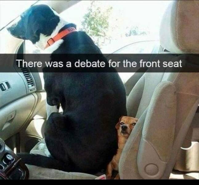 Funny Picdump Funny Picdump