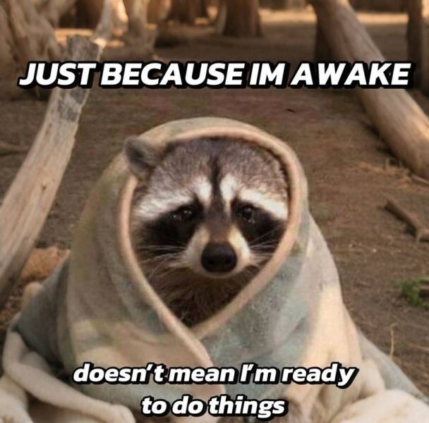 Funny Picdump Funny Picdump