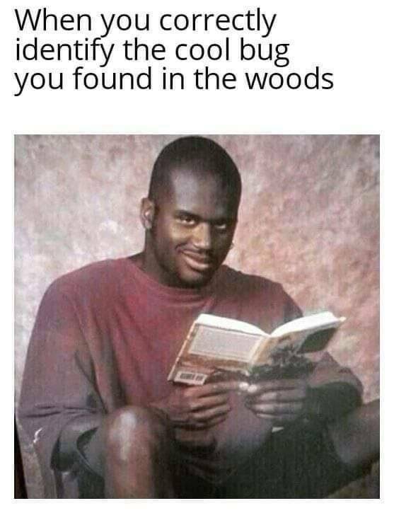 Funny Picdump Funny Picdump