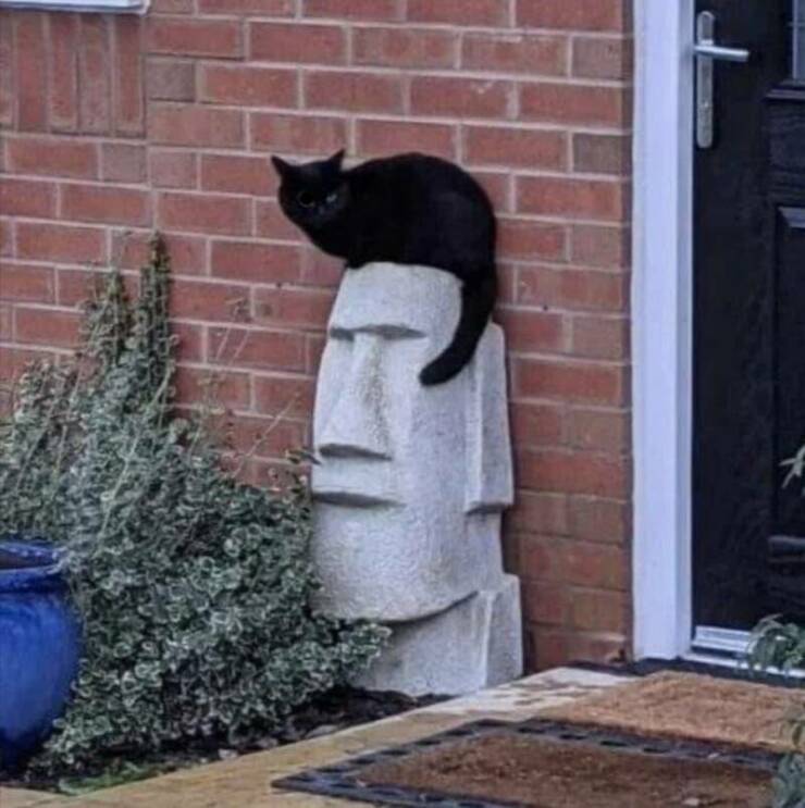 Hilarious Coincidences Captured At The Perfect Moment