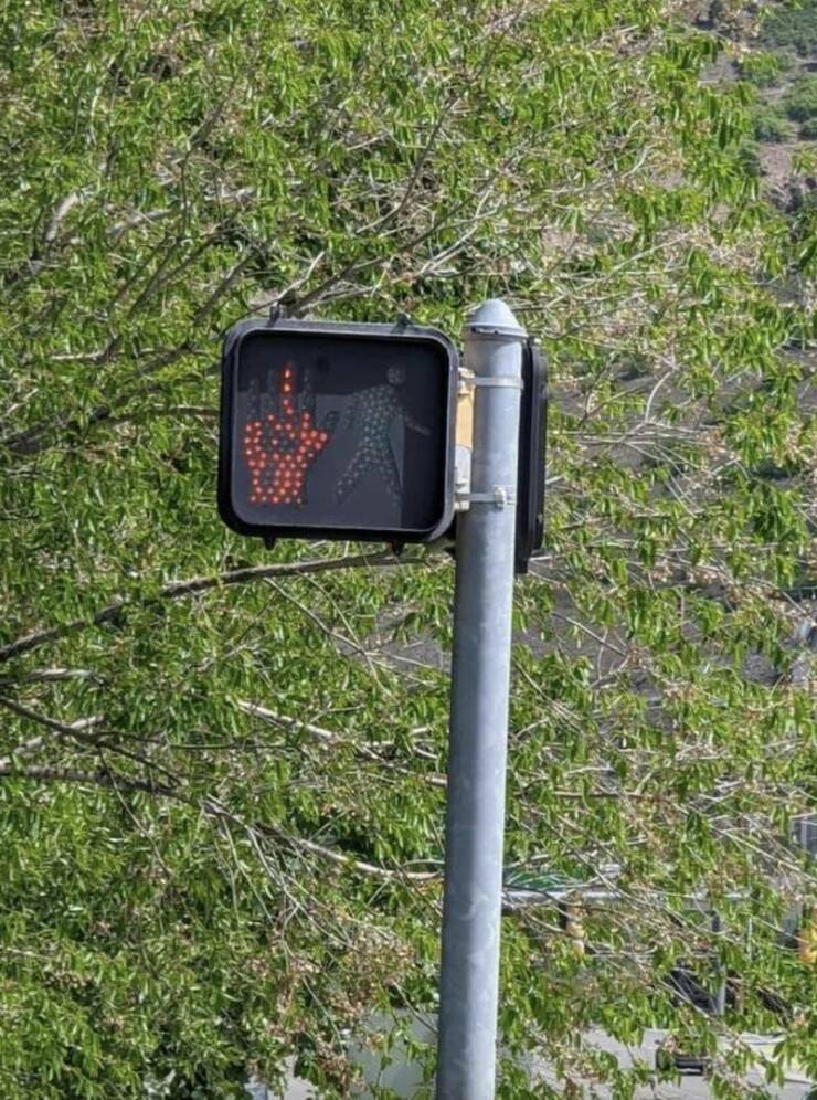 Hilarious Coincidences Captured At The Perfect Moment Hilarious Coincidences Captured At The Perfect Moment