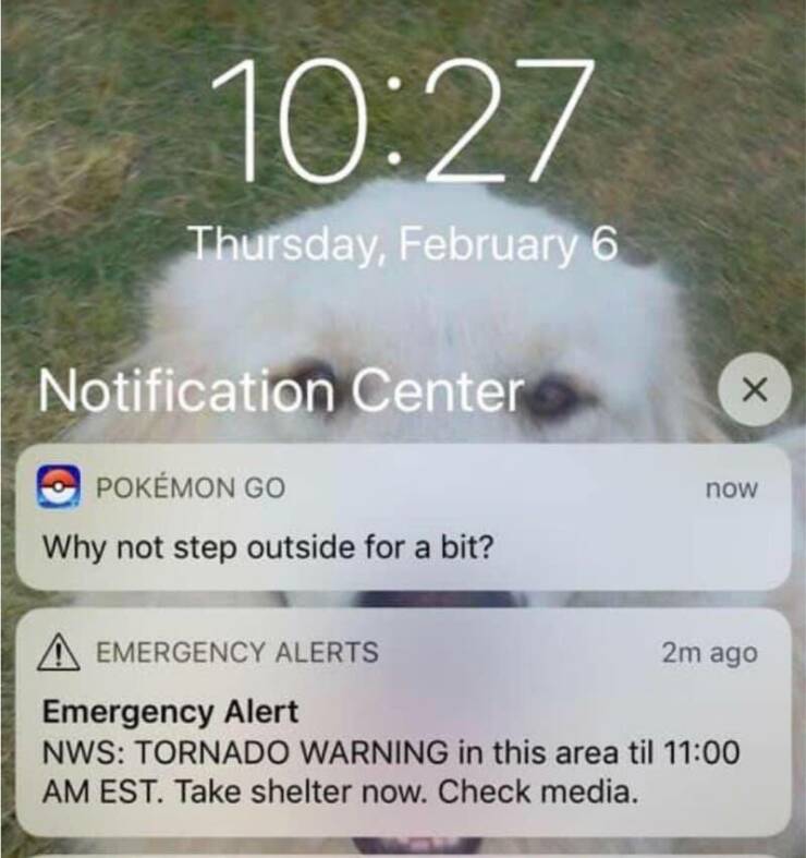 Hilarious Coincidences Captured At The Perfect Moment Hilarious Coincidences Captured At The Perfect Moment