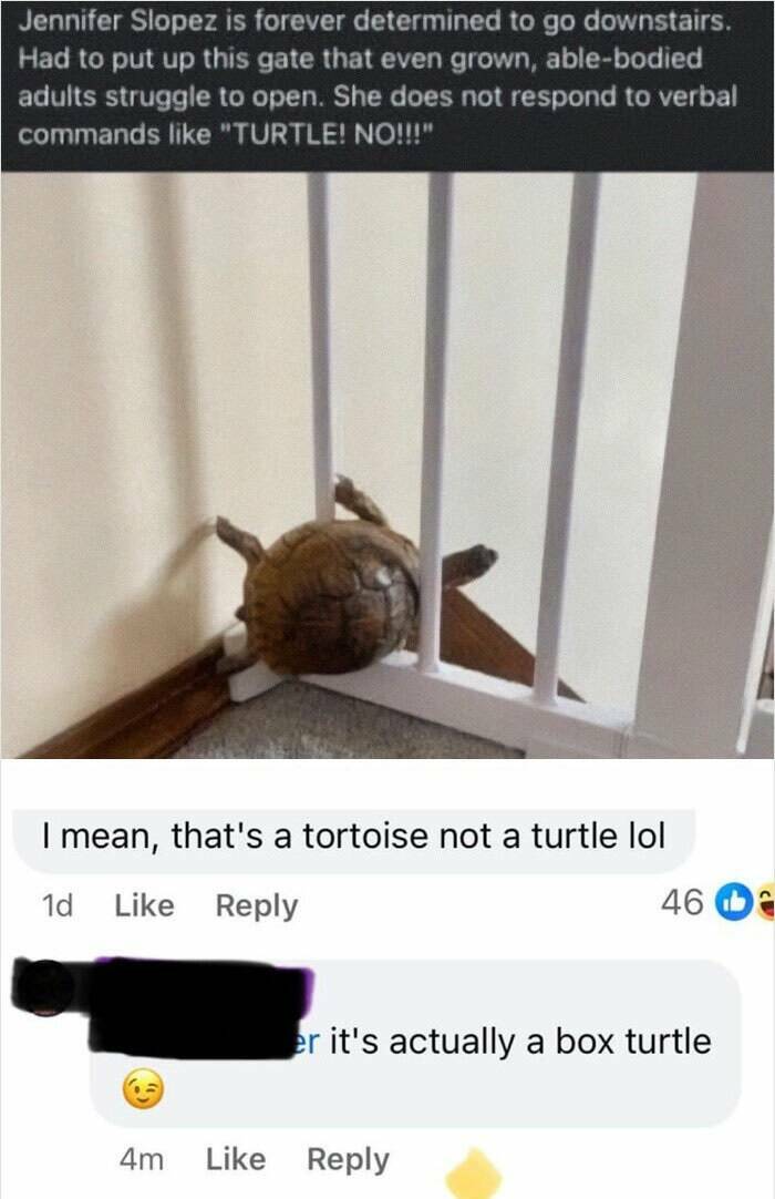 Hilarious Correction Fails