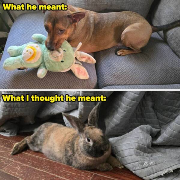 People Who Uncovered Their Partner’s Hilarious Lack Of Common Sense