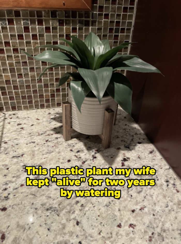 People Who Uncovered Their Partner’s Hilarious Lack Of Common Sense