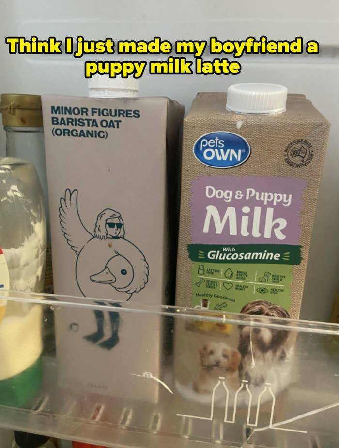 People Who Uncovered Their Partner’s Hilarious Lack Of Common Sense