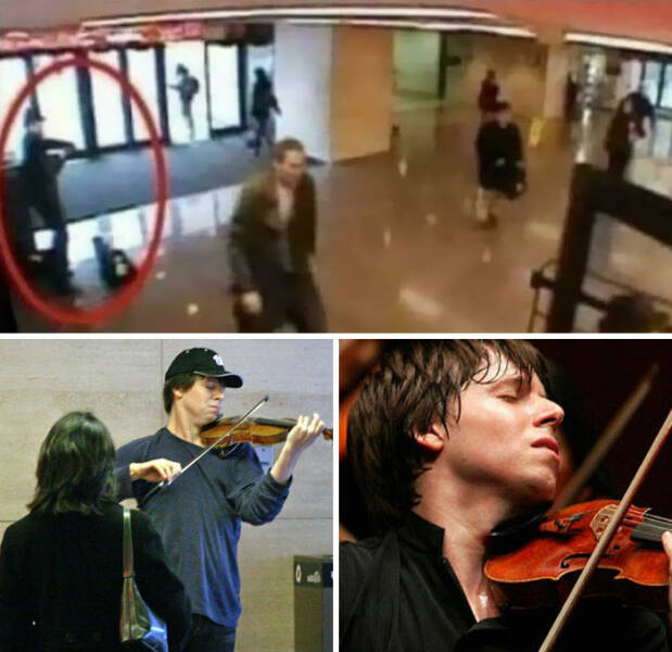 Random But Incredibly Interesting Facts Shared By People