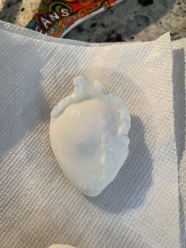 Ultra-Rare Images That Capture Perfectly Timed Moments