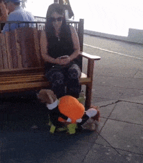 Daily Gifdump Daily Gifdump