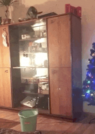 Daily Gifdump Daily Gifdump