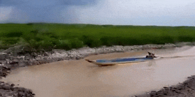 Daily Gifdump Daily Gifdump