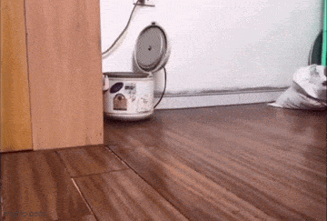 Daily Gifdump Daily Gifdump