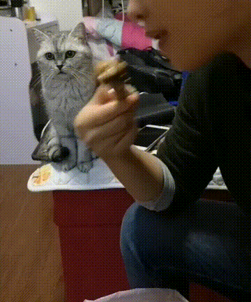 Daily Gifdump Daily Gifdump