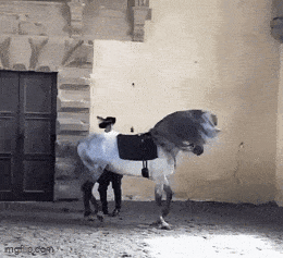 Daily Gifdump Daily Gifdump