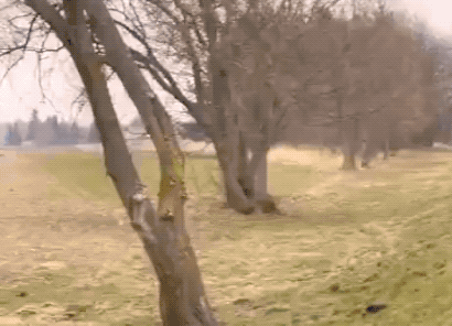 Expect…The UN-Expected!