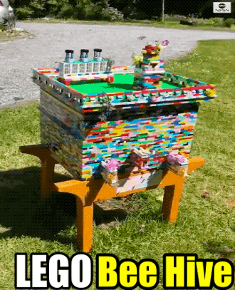 Expect…The UN-Expected!