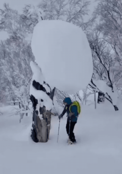 Expect…The UN-Expected!