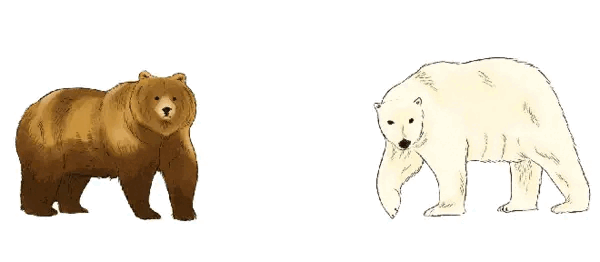 Random Facts For The Curious Mind